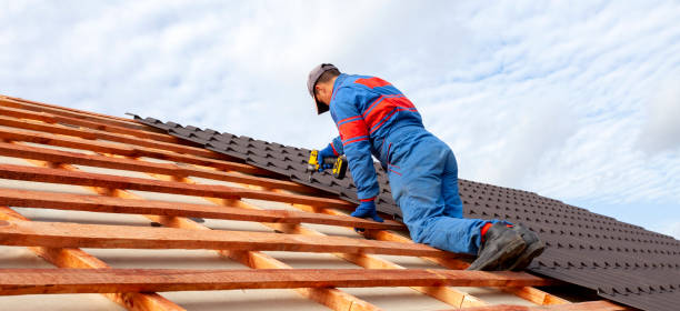 Best Roof Insulation Installation  in Ajo, AZ